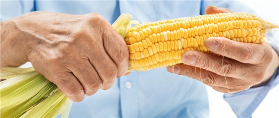 农副产品的网络营销怎么做？农副产品的营销方案