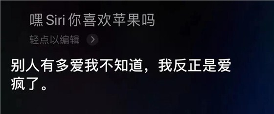 语音助手