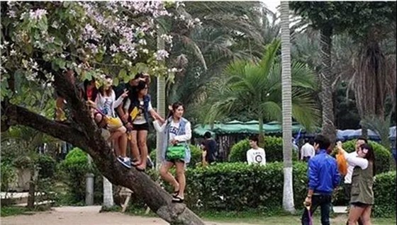但与此不相称的是，文明素养并未与世界接轨，出现了很多不文明的行为。