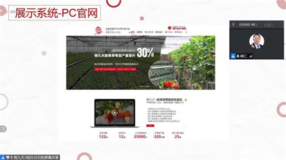 展示系统