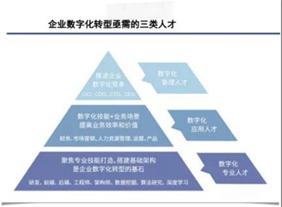 数字化专业人才、数字化应用人才、数字化管理人才